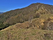 MONTE ZUCCO ad anello via linea tagliafuoco dalla Pernice (20apr21) - FOTOGALLERY